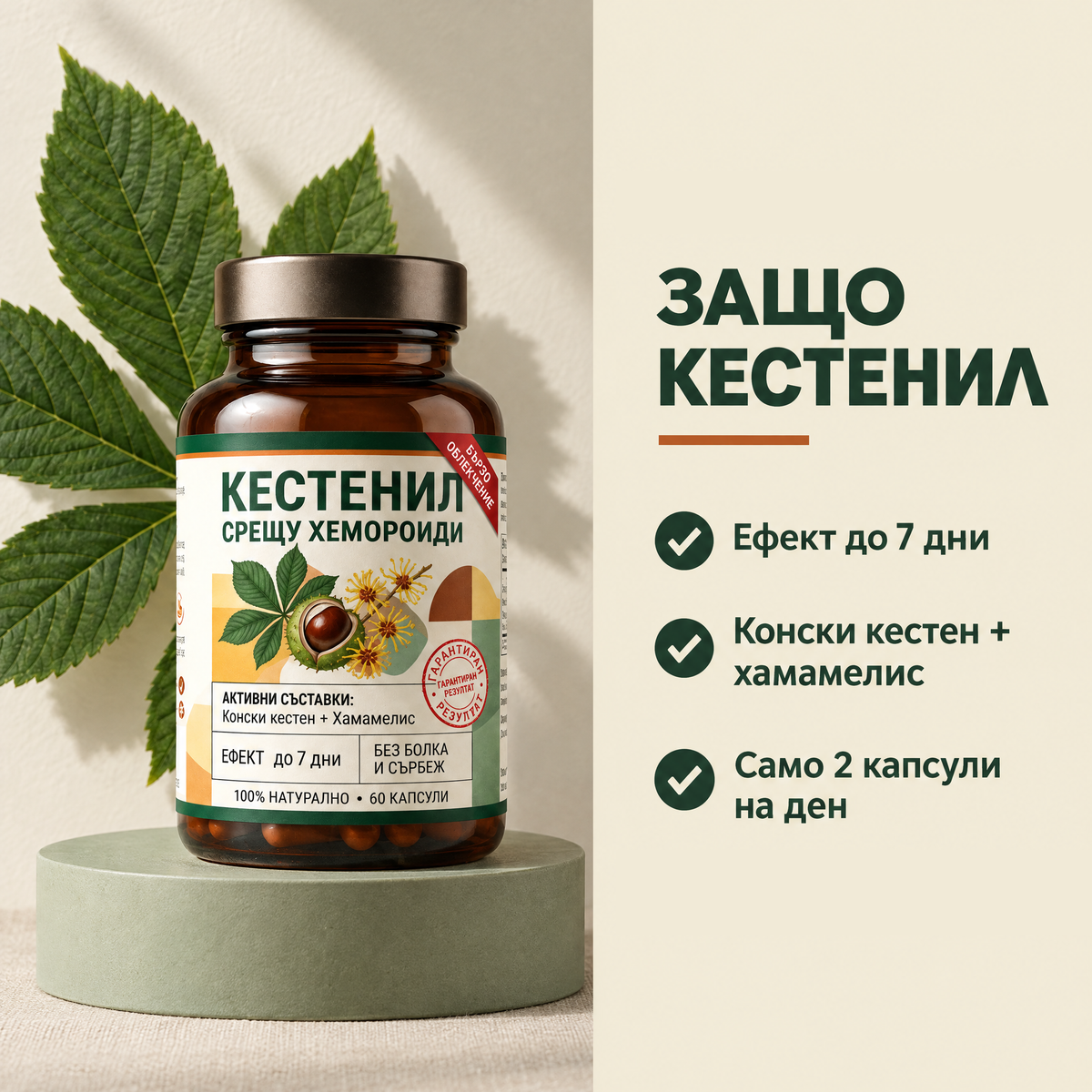 Защо Кестенил: ефект до 7 дни, конски кестен и хамамелис, 2 капсули на ден